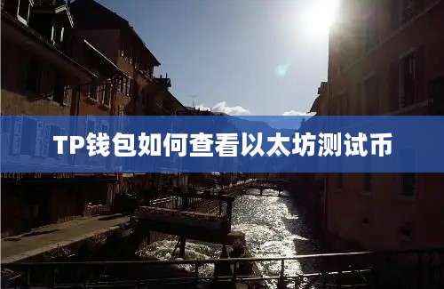 TP钱包如何查看以太坊测试币