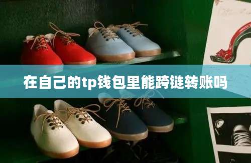 在自己的tp钱包里能跨链转账吗