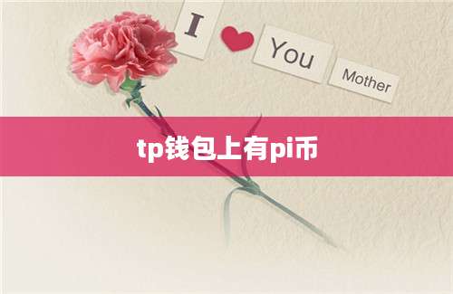 tp钱包上有pi币