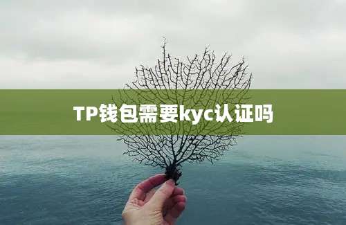TP钱包需要kyc认证吗