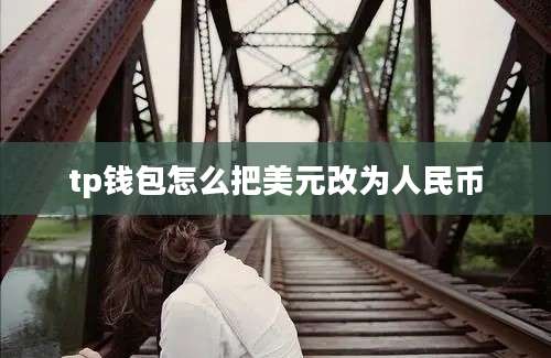 tp钱包怎么把美元改为人民币