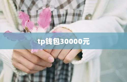 tp钱包30000元