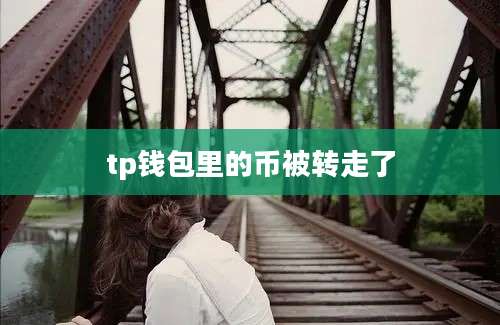 tp钱包里的币被转走了