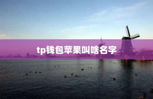 tp钱包苹果叫啥名字
