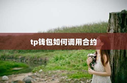 tp钱包如何调用合约