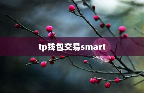 tp钱包交易smart