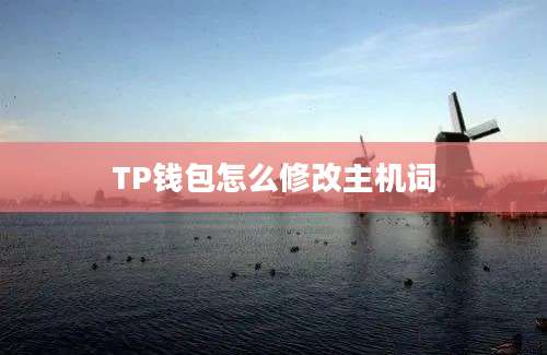 TP钱包怎么修改主机词