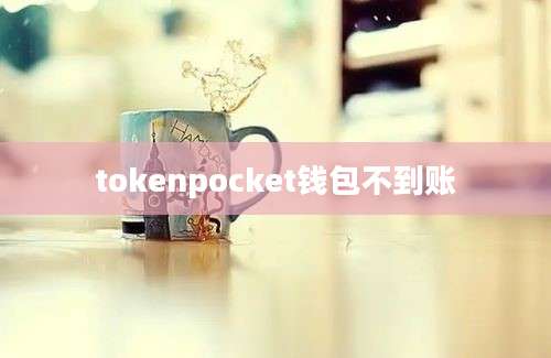 tokenpocket钱包不到账