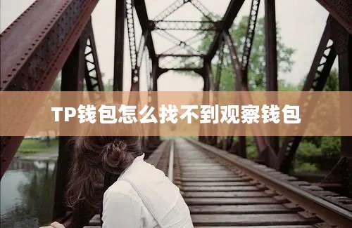 TP钱包怎么找不到观察钱包