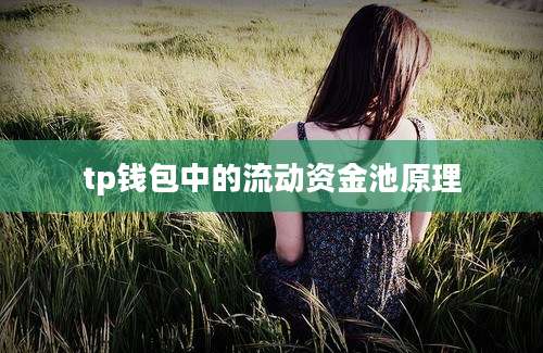 tp钱包中的流动资金池原理