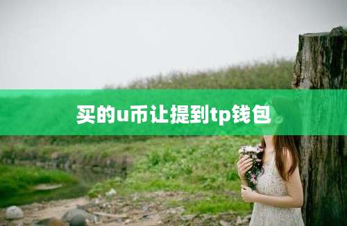 买的u币让提到tp钱包
