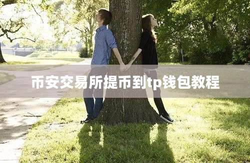 币安交易所提币到tp钱包教程