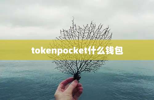 tokenpocket什么钱包