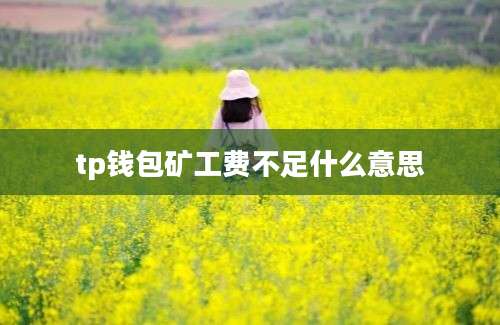 tp钱包矿工费不足什么意思