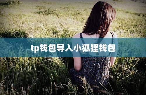 tp钱包导入小狐狸钱包