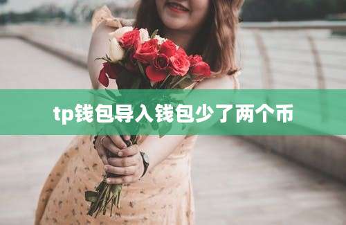 tp钱包导入钱包少了两个币