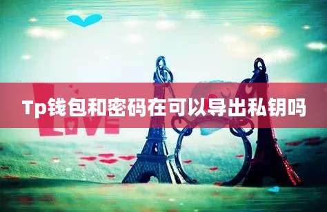 Tp钱包和密码在可以导出私钥吗