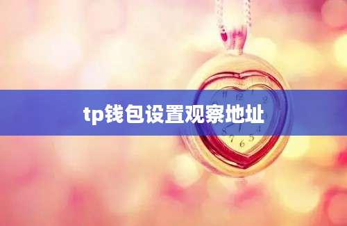 tp钱包设置观察地址