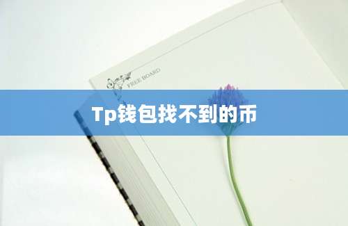 Tp钱包找不到的币