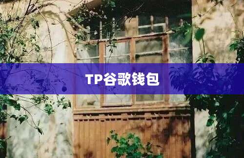 TP谷歌钱包