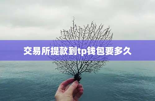 交易所提款到tp钱包要多久
