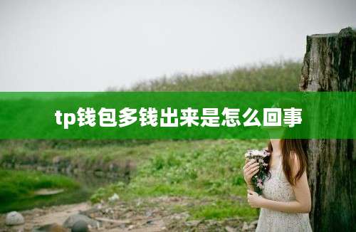 tp钱包多钱出来是怎么回事