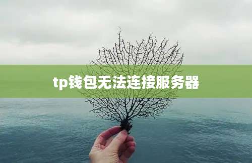 tp钱包无法连接服务器