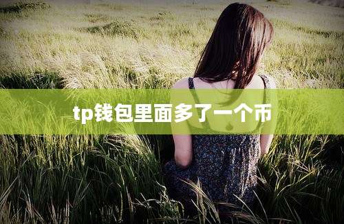 tp钱包里面多了一个币