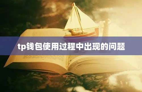 tp钱包使用过程中出现的问题