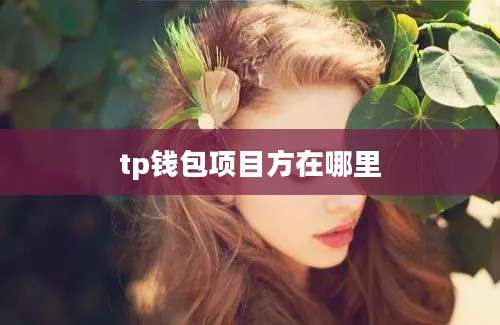tp钱包项目方在哪里