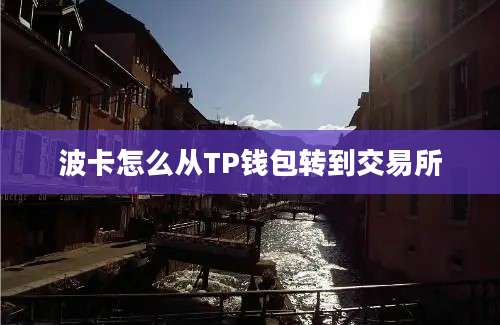 波卡怎么从TP钱包转到交易所