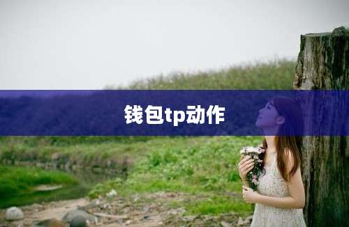 钱包tp动作