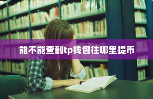 能不能查到tp钱包往哪里提币