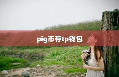 pig币存tp钱包