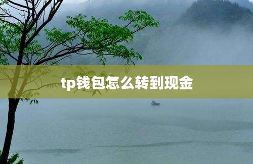 tp钱包怎么转到现金