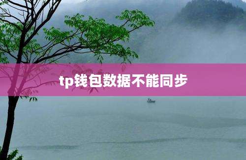 tp钱包数据不能同步