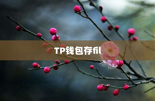 TP钱包存fil