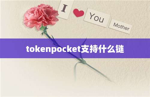 tokenpocket支持什么链