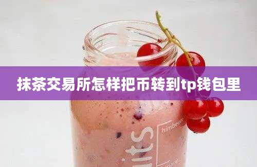 抹茶交易所怎样把币转到tp钱包里