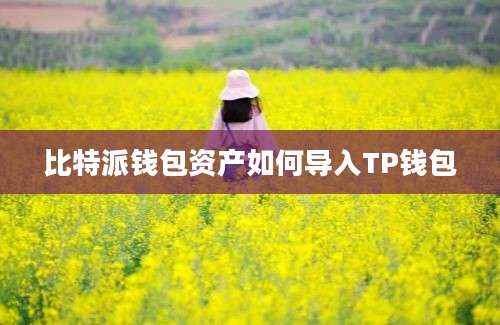 比特派钱包资产如何导入TP钱包