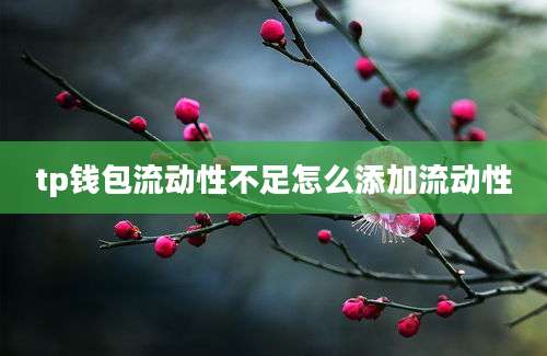 tp钱包流动性不足怎么添加流动性
