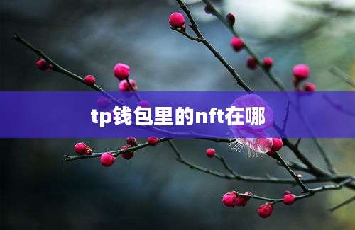 tp钱包里的nft在哪