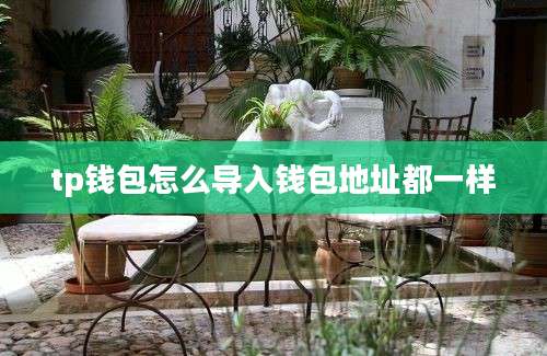 tp钱包怎么导入钱包地址都一样