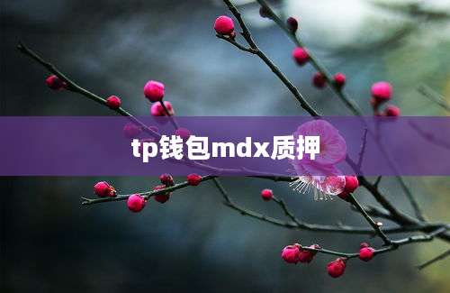 tp钱包mdx质押