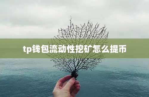 tp钱包流动性挖矿怎么提币