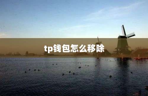 tp钱包怎么移除