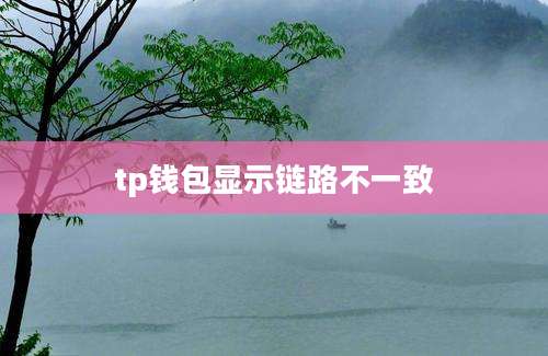 tp钱包显示链路不一致