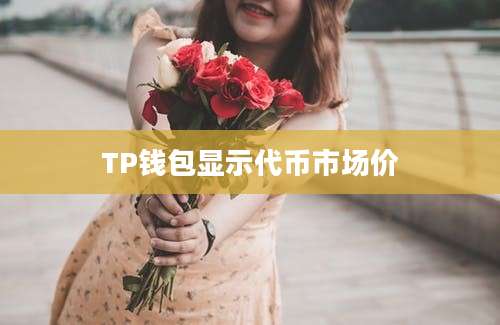 TP钱包显示代币市场价