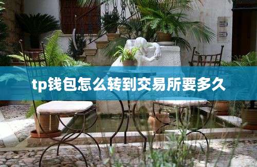 tp钱包怎么转到交易所要多久