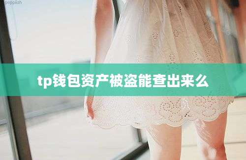 tp钱包资产被盗能查出来么
